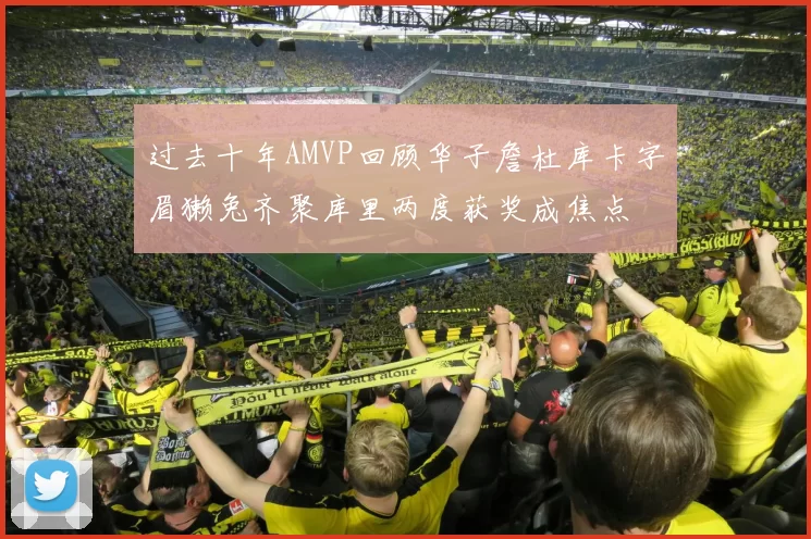 过去十年AMVP回顾华子詹杜库卡字眉獭兔齐聚库里两度获奖成焦点