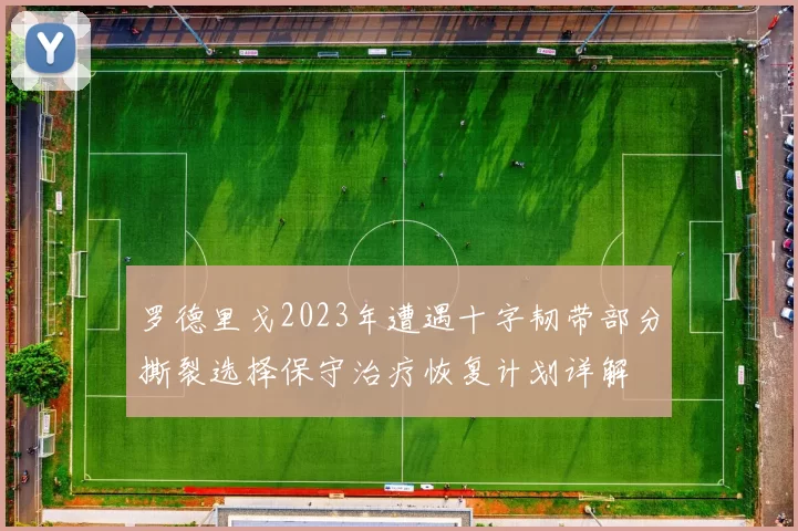 罗德里戈2023年遭遇十字韧带部分撕裂选择保守治疗恢复计划详解
