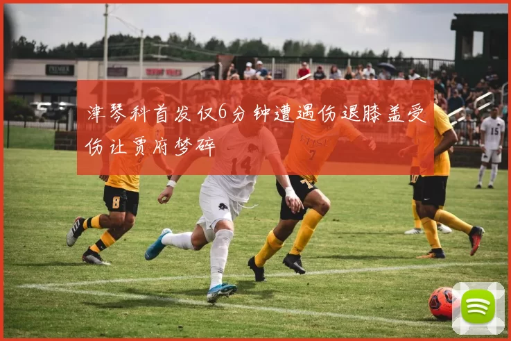 津琴科首发仅6分钟遭遇伤退膝盖受伤让贾府梦碎