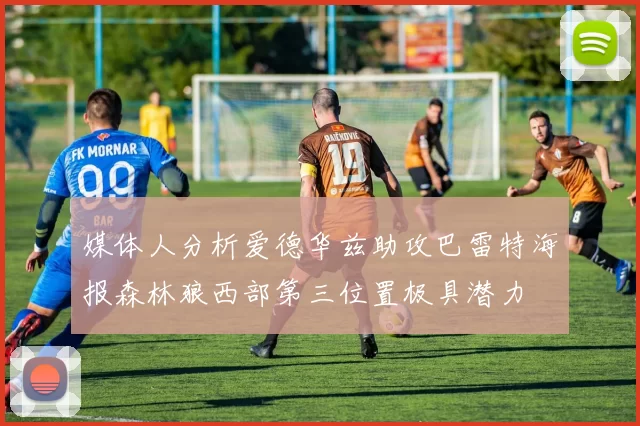 媒体人分析爱德华兹助攻巴雷特海报森林狼西部第三位置极具潜力